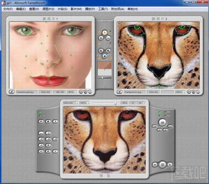 fantamorph5,abrosoft fantamorph,奇幻变脸秀,变脸软件